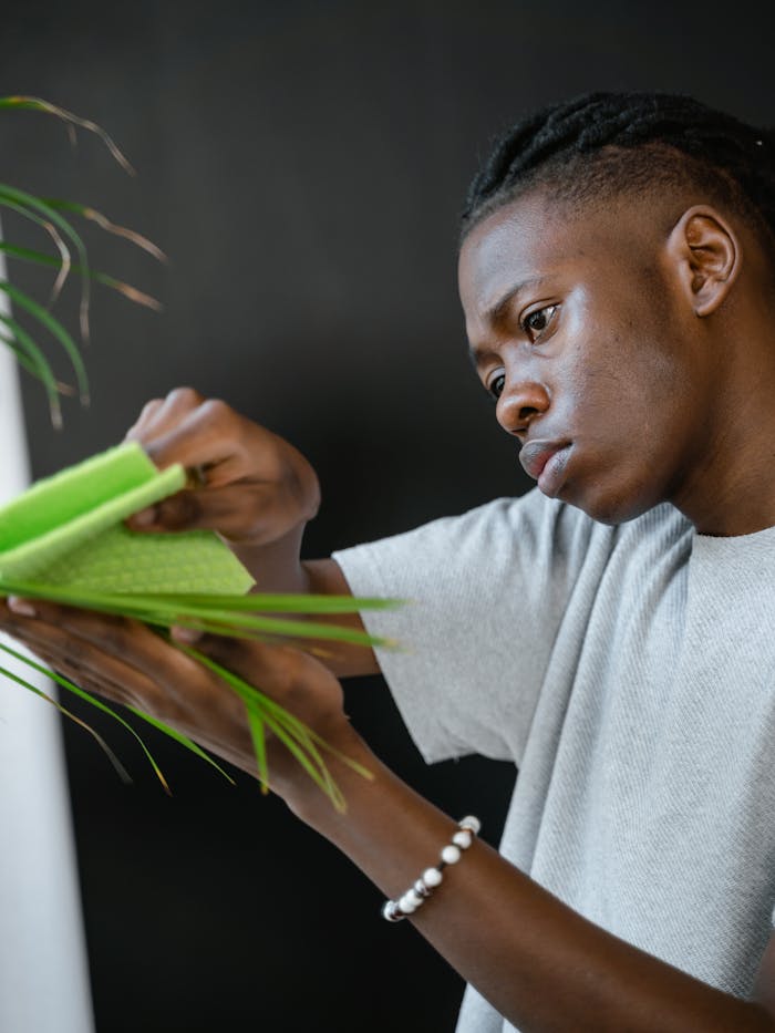 about-01 Focused young man cleaning houseplants with a cloth indoors, promoting sustainable living.