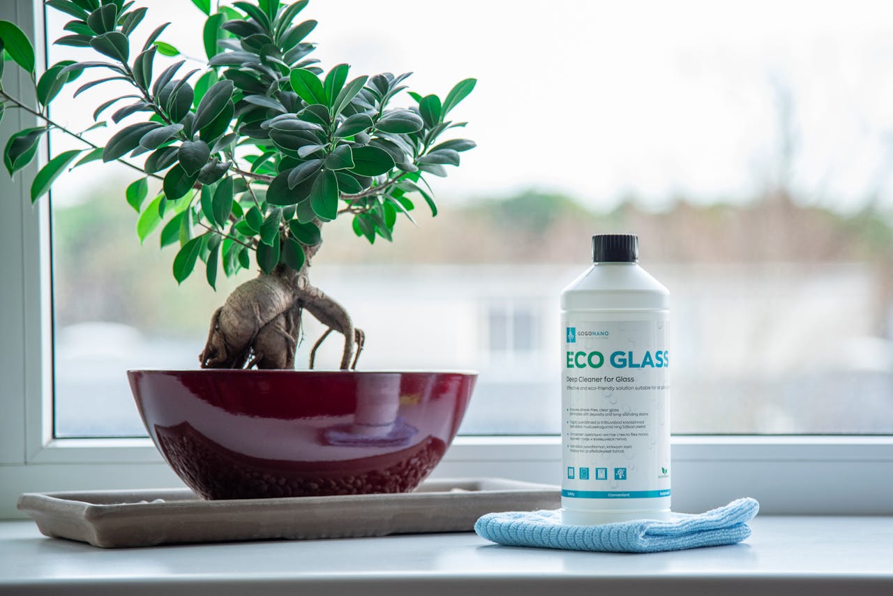 services-01 Eco glass cleaner and bonsai plant on a windowsill in a calm indoor setting.
